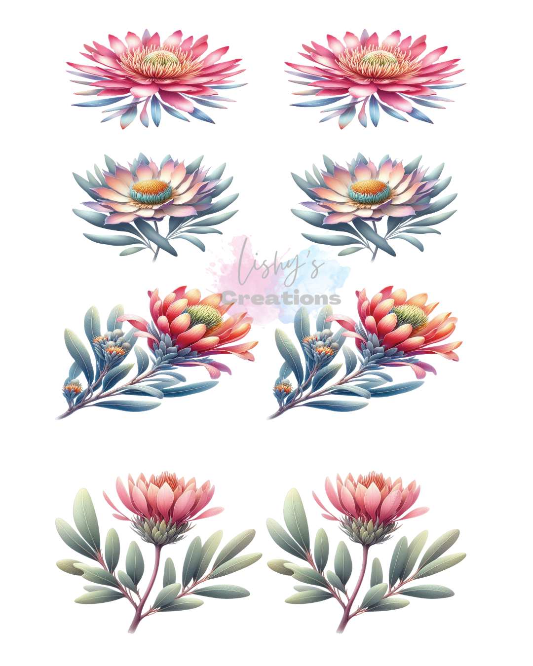 Australian flowers